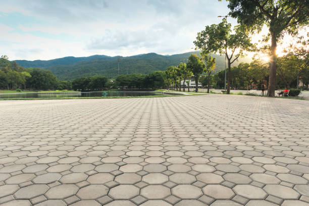 Best Driveway Pavers Cost  in Gantt, SC